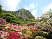 kazǔDRỹccW̓eʐ^1