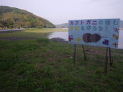 ftman̗̉YC݂̓eʐ^1