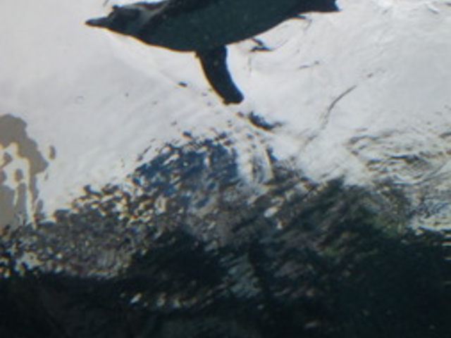 ���R������