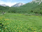 Ƃ̒̒rR̃jbRELXQ̓eʐ^1