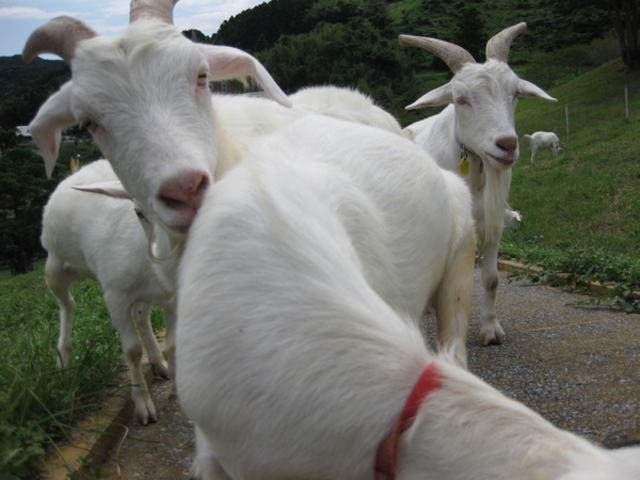 ��t���@���_�̂���