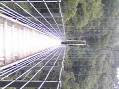 _TIE̔܋Eȋjւ̓eʐ^1