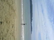 q̋xɑC哇@Lv̓eʐ^1