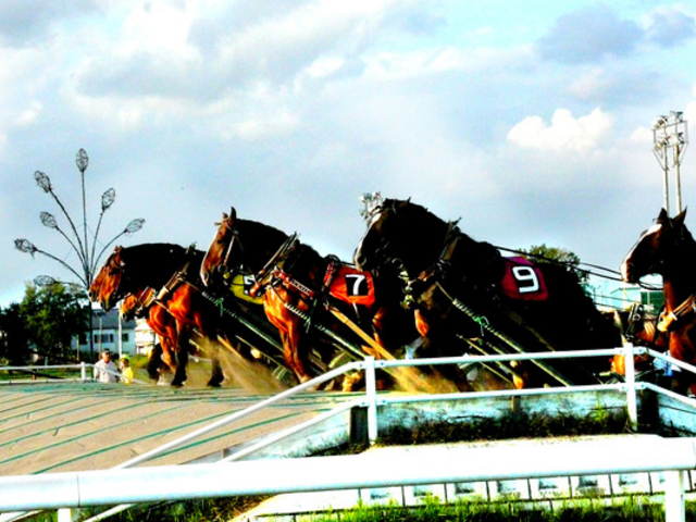 �n�̎�����