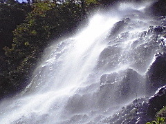 ひろさんの天滝への投稿写真1