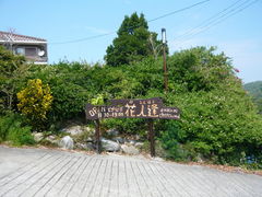 ܂̃sUi@Ԑlւ̓eʐ^1