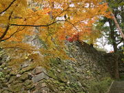 ^񂳂̒OgTR鉺̓eʐ^1