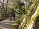 タラちゃんさんの丹波亀山城跡の投稿写真1