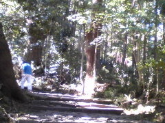 ���񂳂�̌F��Ó��@����ւ̓��e�ʐ^1