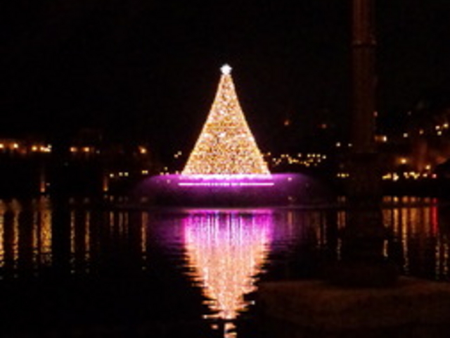 �����f�B�Y�j�[�V�[(R)