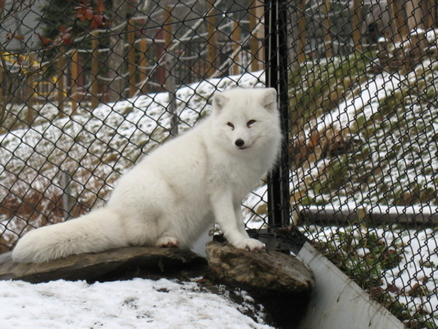 ���R������