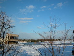 kazumiringo̊Co[hp[NixRV`ՊC쒹jւ̓eʐ^1