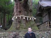 �ӂ����񂳂�̑�n�Ђ̑吙�̓��e�ʐ^1