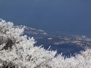 gachan1229̕ʕ{[vEFC̓eʐ^1