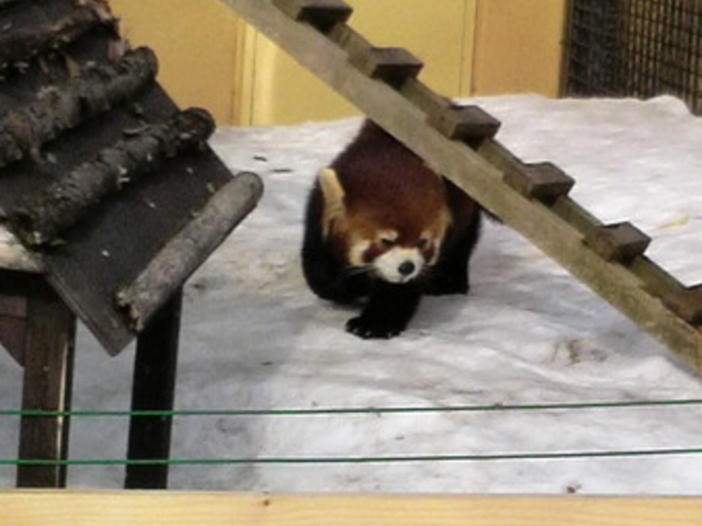 ���R������