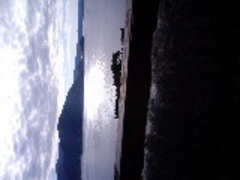 �q������̐�X�Ίό��Z���^�[�ւ̓��e�ʐ^1