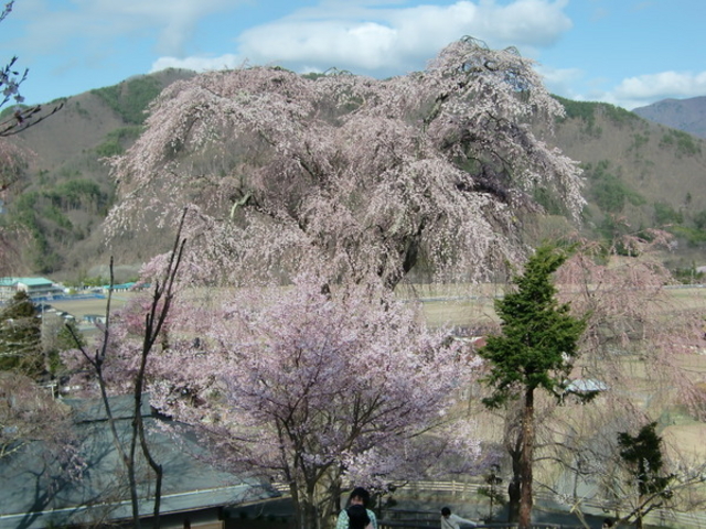 `݂񂳂̏Ԗt̂̓eʐ^1