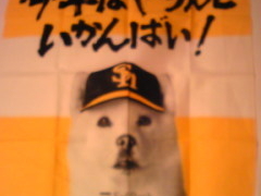 �^�J�L�`����̕����h�[���@THE�@BIG�@LIFE�ւ̓��e�ʐ^1