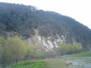 wakky̐ԋVR@邨ق̓eʐ^1