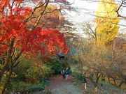 }̃u[mE^Eg̋S̓eʐ^1