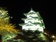 しゃみさんの弘前城の投稿写真1