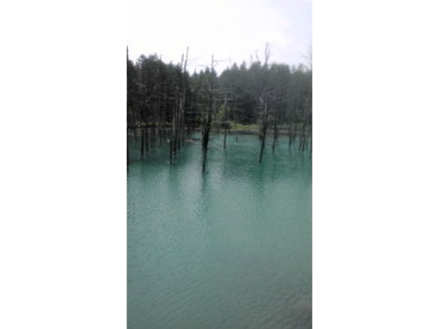 �т�����������ό��g��