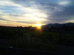 �֒��ȃX�J�C���C���̎ʐ^1