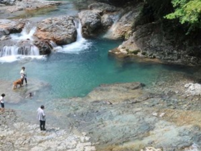 �l����