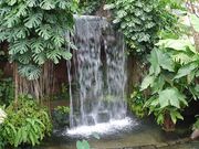 ���債����̓����s���̓��M�ѐA���ق̓��e�ʐ^1