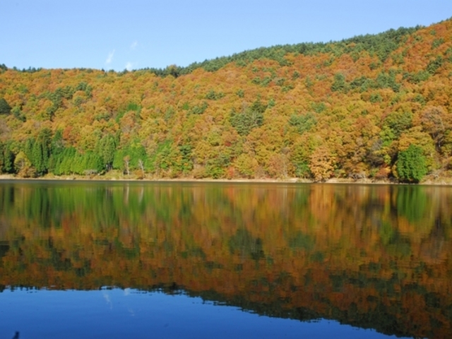 Ђ͂񂳂̎lA΂̓eʐ^1