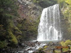 イ̑PܘY̑ւ̓eʐ^1