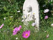 J̔ʎ᎛̃RXX̓eʐ^1