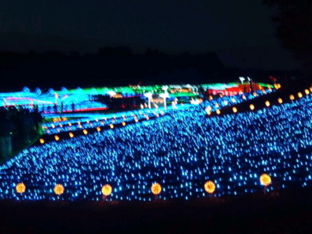 �����h�C�c��