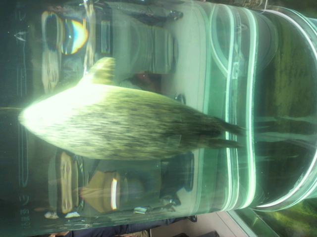 ���R������