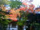 トムマルさんの長楽寺（京都府京都市）の投稿写真1