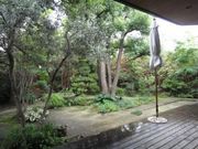 nekõTU R[q[̓eʐ^1