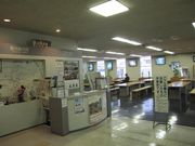 񂳂̑q~sόxe̓eʐ^1