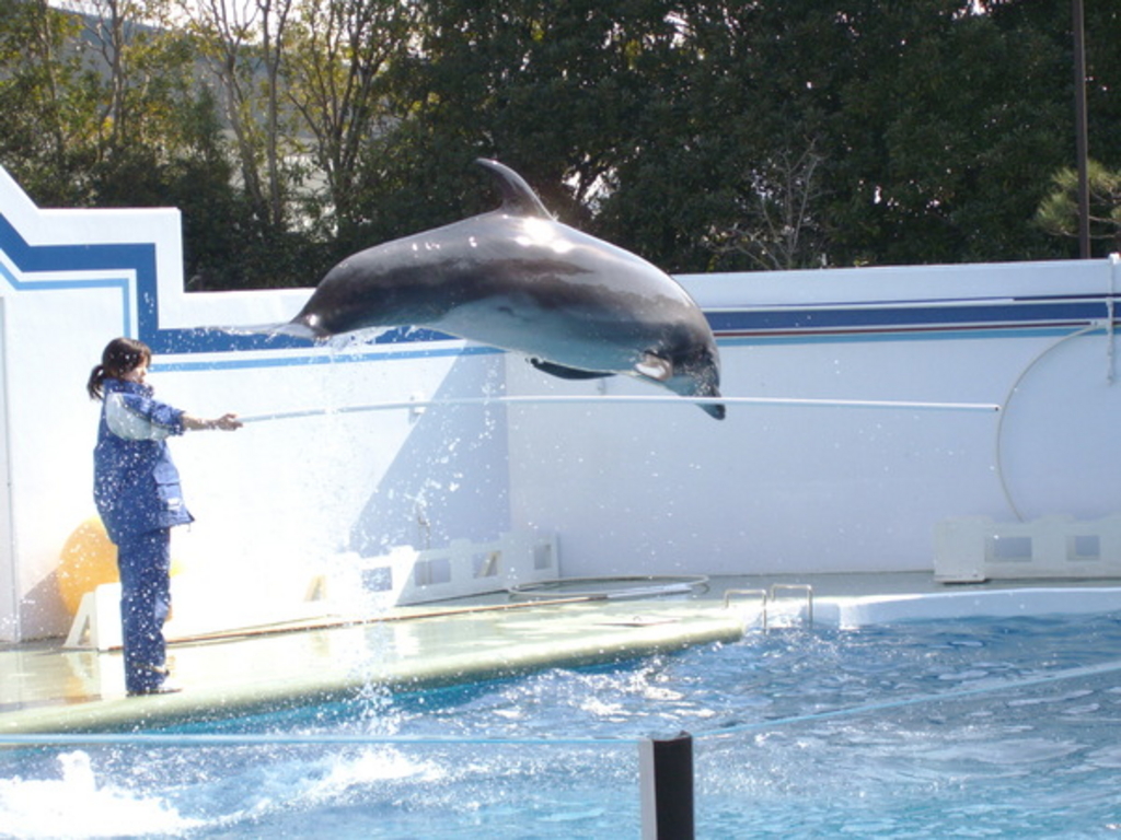 東京 この夏行きたい動物園 水族館 人気おすすめ11選 じゃらんニュース