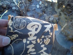 �肷������̋ʎq�����ւ̓��e�ʐ^1