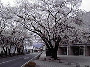 r[iXCeT̉Ks̃V_UN̓eʐ^1