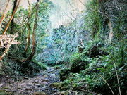 }[̈ɔؓV_̌Q̓eʐ^1