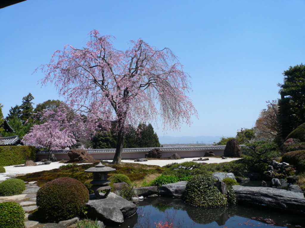 正法寺 アクセス 営業時間 料金情報 じゃらんnet