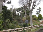 񂳂̋ʈ䎛ꗢ˂̓eʐ^1