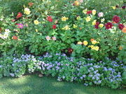 悱Ԃ̃EJX^ i` q[O K[f̓eʐ^1