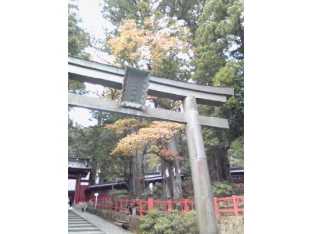 ������r�R�_��