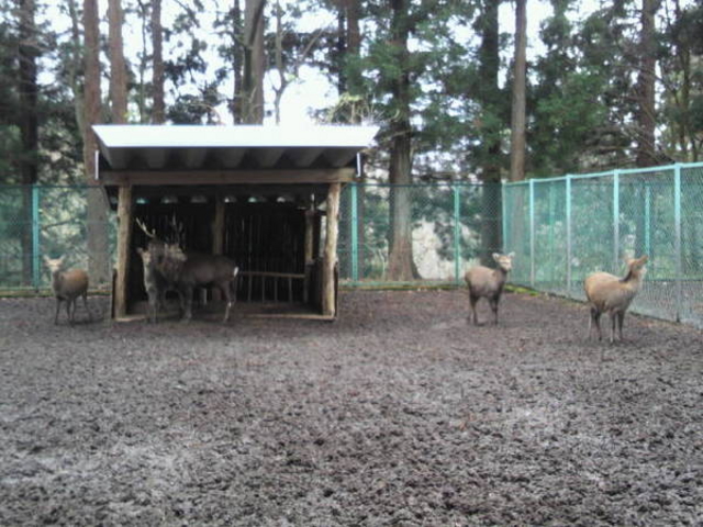 ���j�ՎO�ˏ�Տ�R����