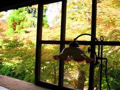 kaku����̒��[�@�V�䞠�~�ւ̓��e�ʐ^1