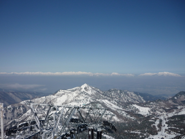 �u�ꍂ������R�R��