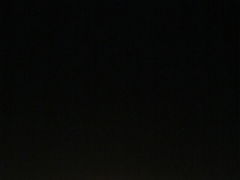 Ђɂ񂳂̘Z{؃qYւ̓eʐ^1