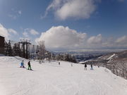 Ȃǂ̐샊][g@Ac֒̓eʐ^1